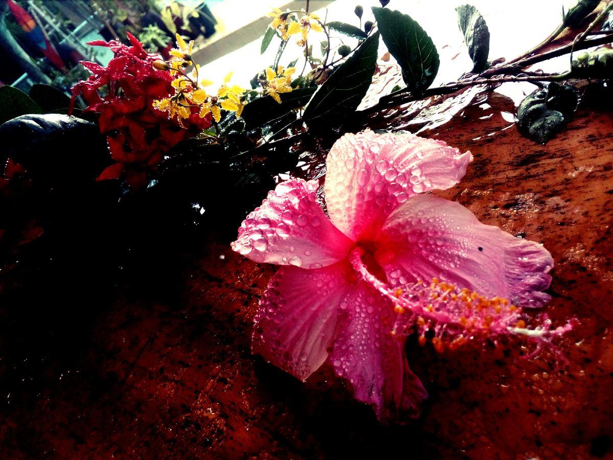 Hotel El Jardin Jacó Buitenkant foto
